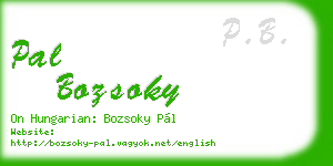 pal bozsoky business card